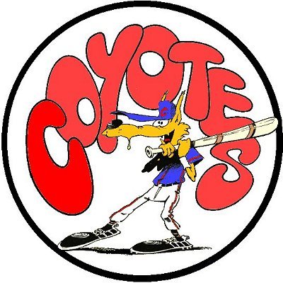 Baseball Club de Jou&eacute;-les-Tours